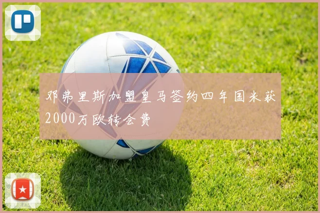 邓弗里斯加盟皇马签约四年国米获2000万欧转会费