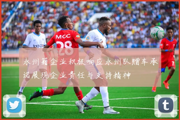 永州籍企业积极响应永州队赠车承诺展现企业责任与支持精神